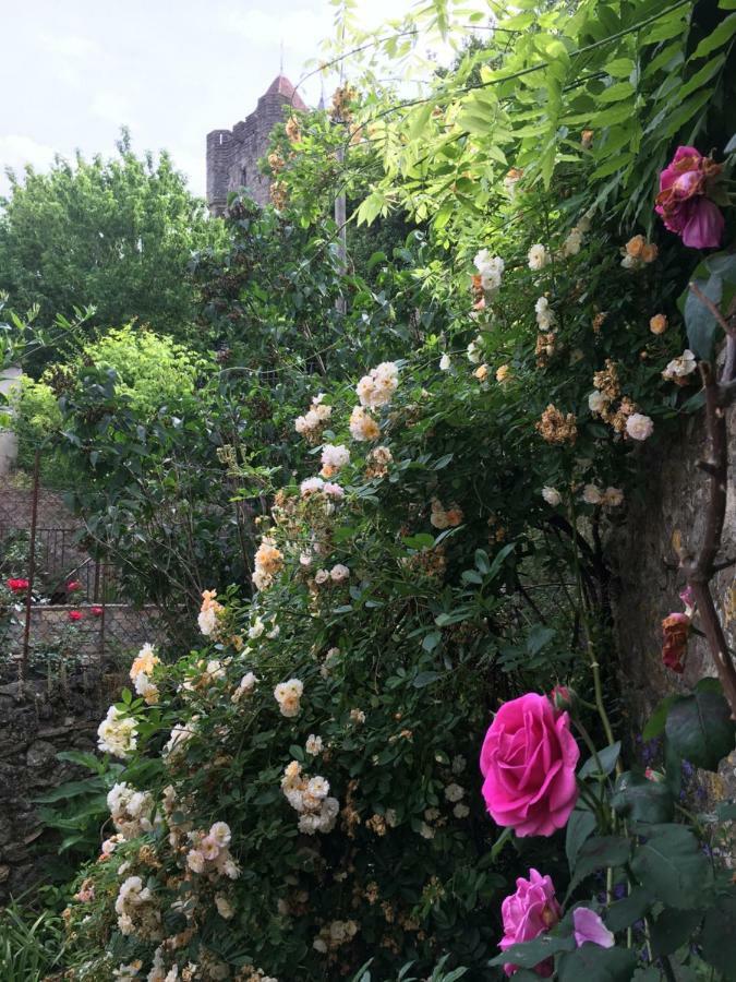 Cote Remparts Villa Carcassonne Ngoại thất bức ảnh
